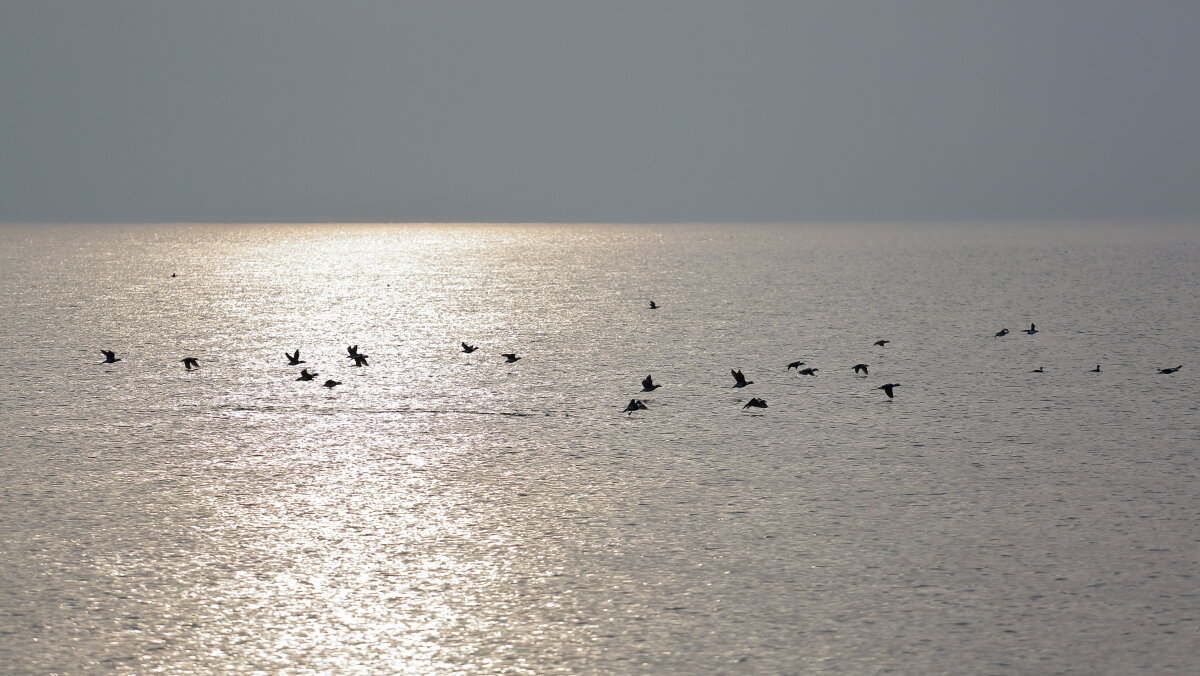 Вечер на пляже#1 - Андрей Николаевич Незнанов Вечер на пляже#1 - Андрей Николаевич Незнанов