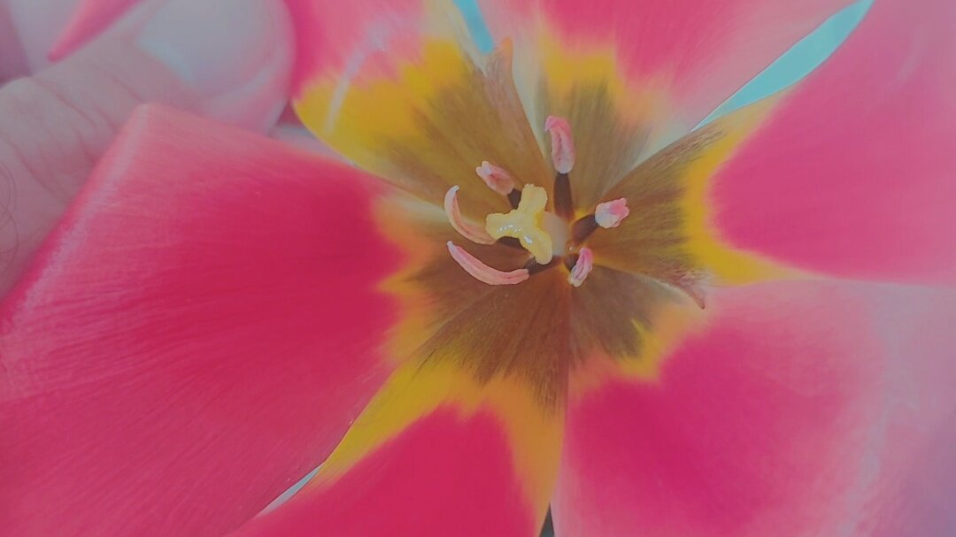 111 (179) - СТРЕН 