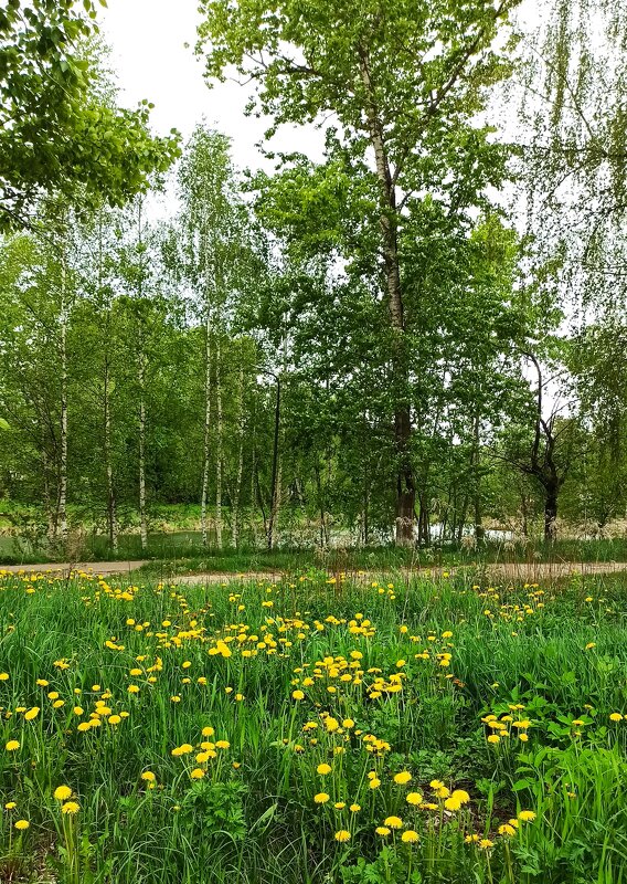 У озера - veilins veilins У озера - veilins veilins