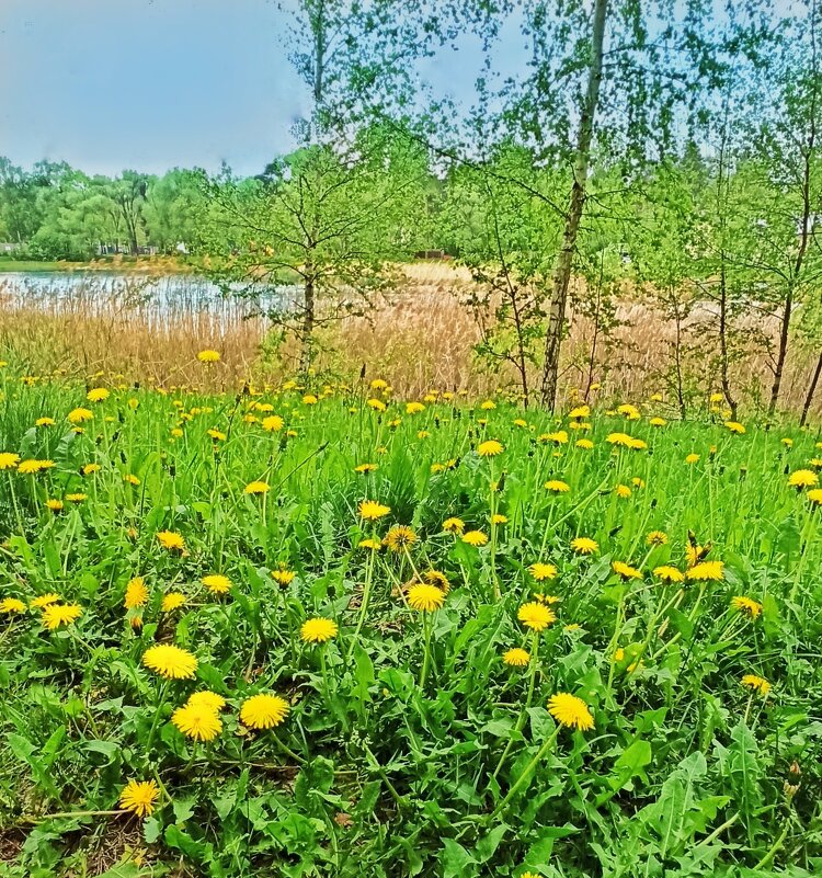 Кажется, дождь собирается... - veilins veilins Кажется, дождь собирается... - veilins veilins