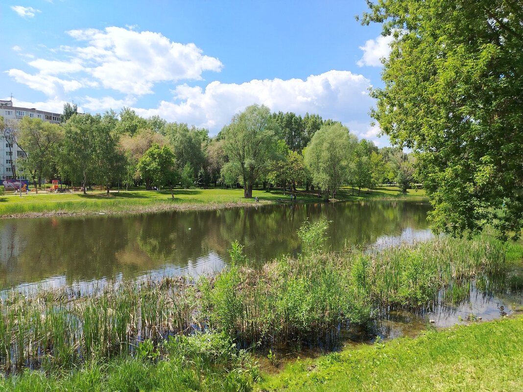 Озеро у дома - Надежда 