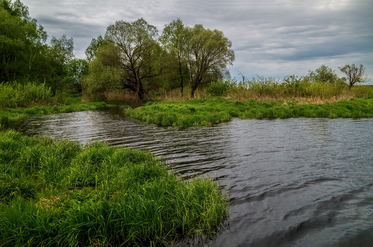 Утро на Клязьме 6 - Андрей Дворников