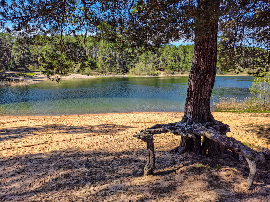 Весны прекрасные мгновения - Serega  