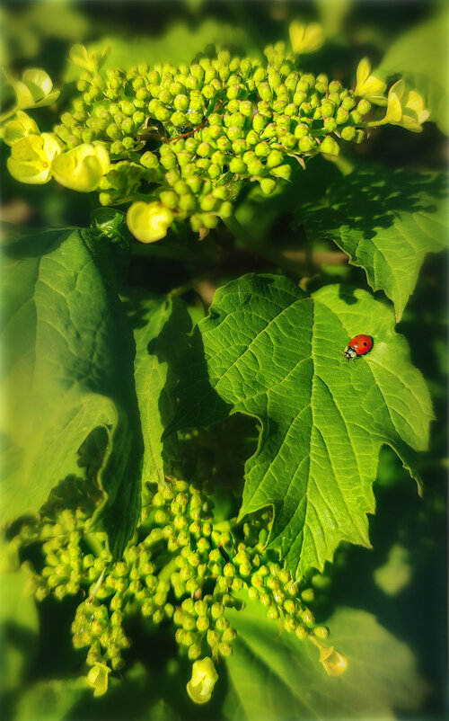 Первая - AZ east3 Первая - AZ east3