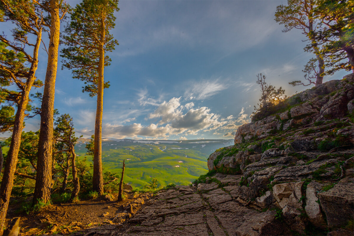 Плато Лаго-Наки . Кавказский биосферный заповедник. - Аnatoly Gaponenko Плато Лаго-Наки . Кавказский биосферный заповедник. - Аnatoly Gaponenko