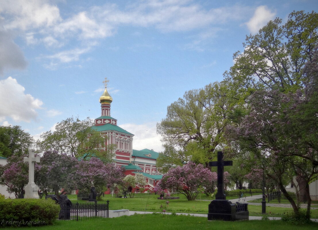 Успенская церковь - Andrey Lomakin Успенская церковь - Andrey Lomakin