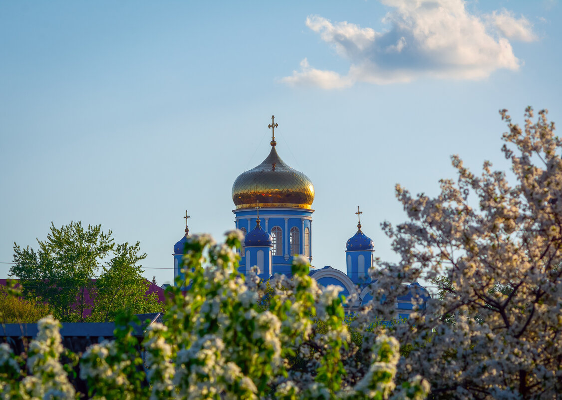 на закате - Виталий Емельянов