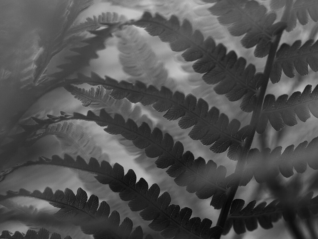 Свет и тени - Валерий Гришин Свет и тени - Валерий Гришин