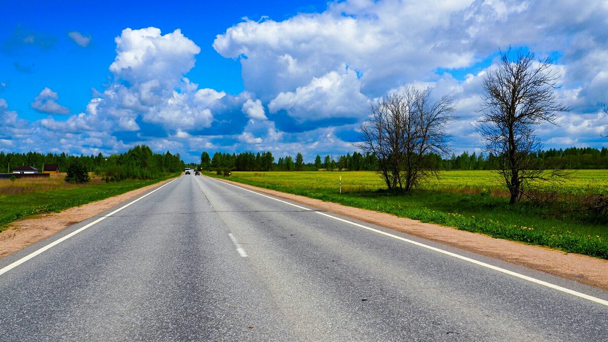 По дорогам Смоленщины. (репортаж из поездки по области). - Милешкин Владимир Алексеевич По дорогам Смоленщины. (репортаж из поездки по области). - Милешкин Владимир Алексеевич