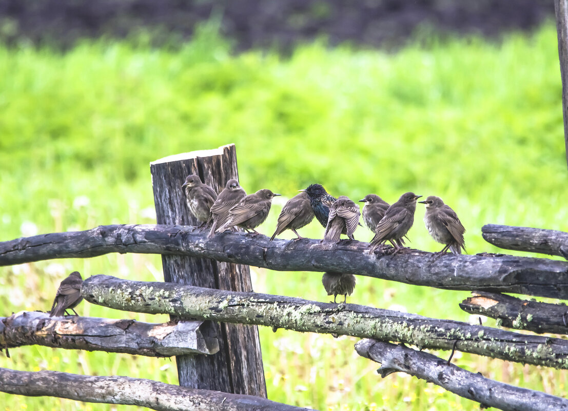 Перед отлетом - Михаил Белоусов