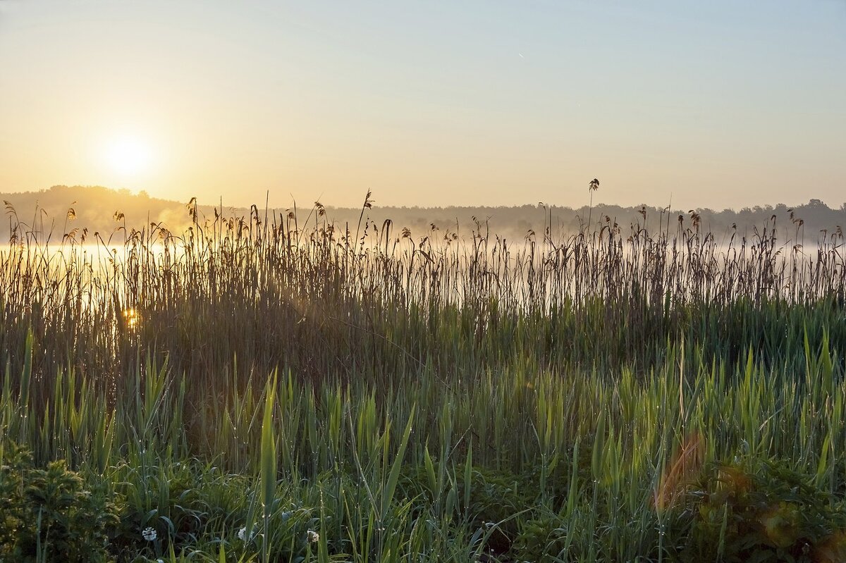 Майское утро на озере - Валерий Иванович Майское утро на озере - Валерий Иванович