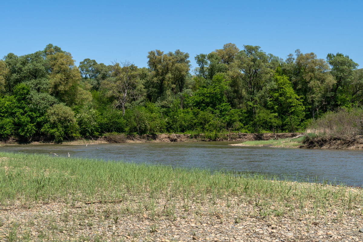 Река Кубань - Игорь Сикорский Река Кубань - Игорь Сикорский