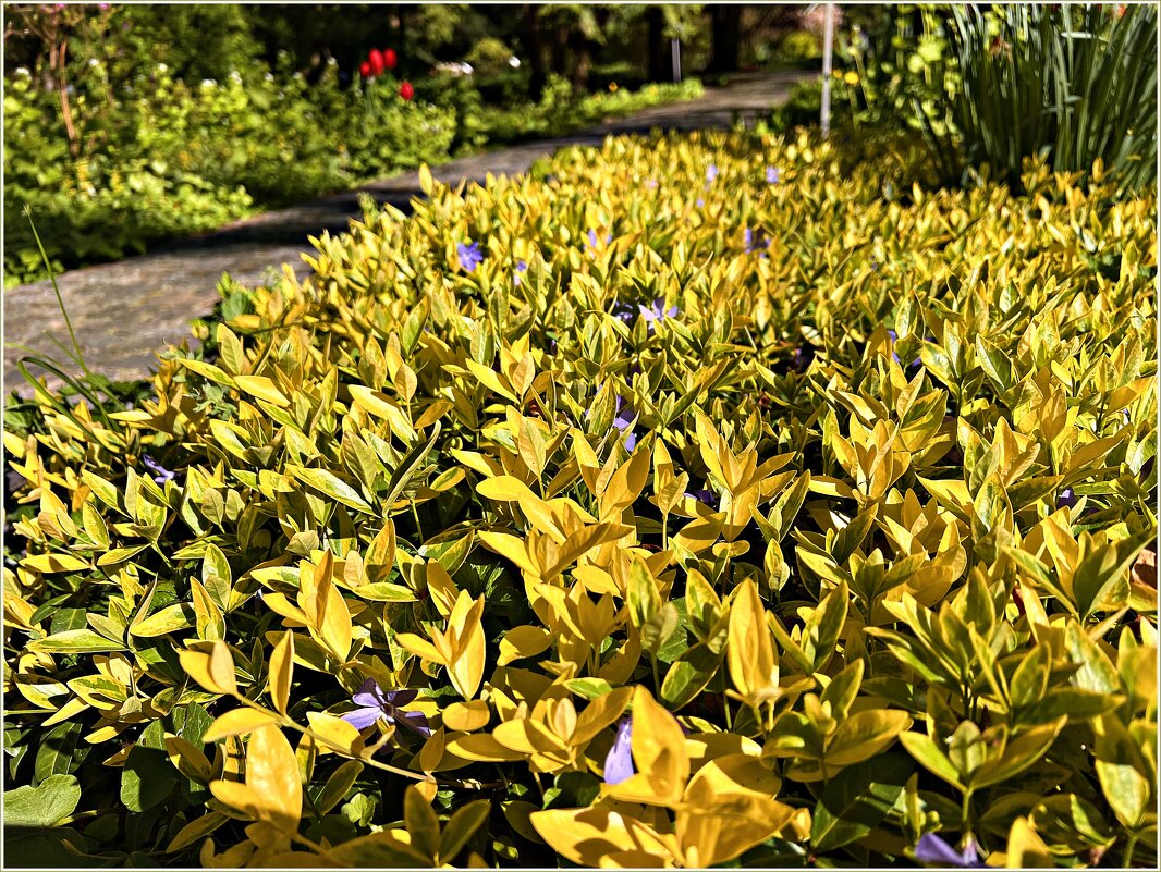 ********** - Валерия Комова ********** - Валерия Комова