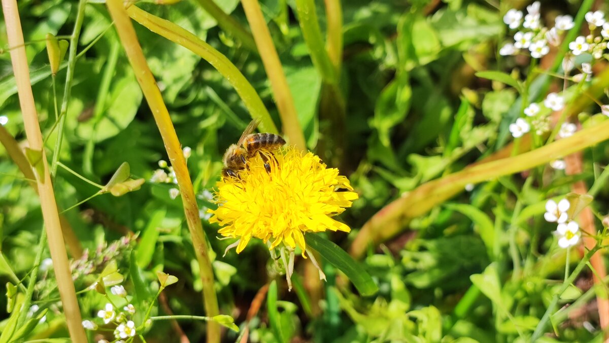 ,,, - Сергей Тимоновский ,,, - Сергей Тимоновский