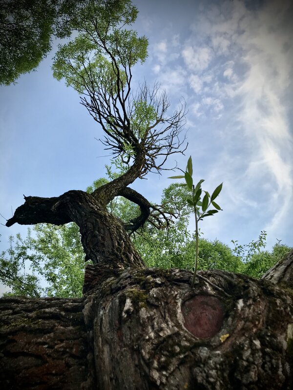 Природа!) - Любовь Природа!) - Любовь