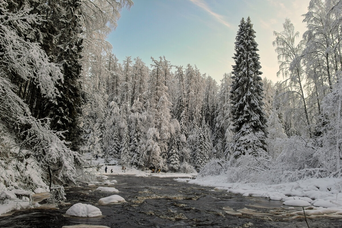 Говорят, что если зима теплая, лето холодное - skijumper Иванов Говорят, что если зима теплая, лето холодное - skijumper Иванов