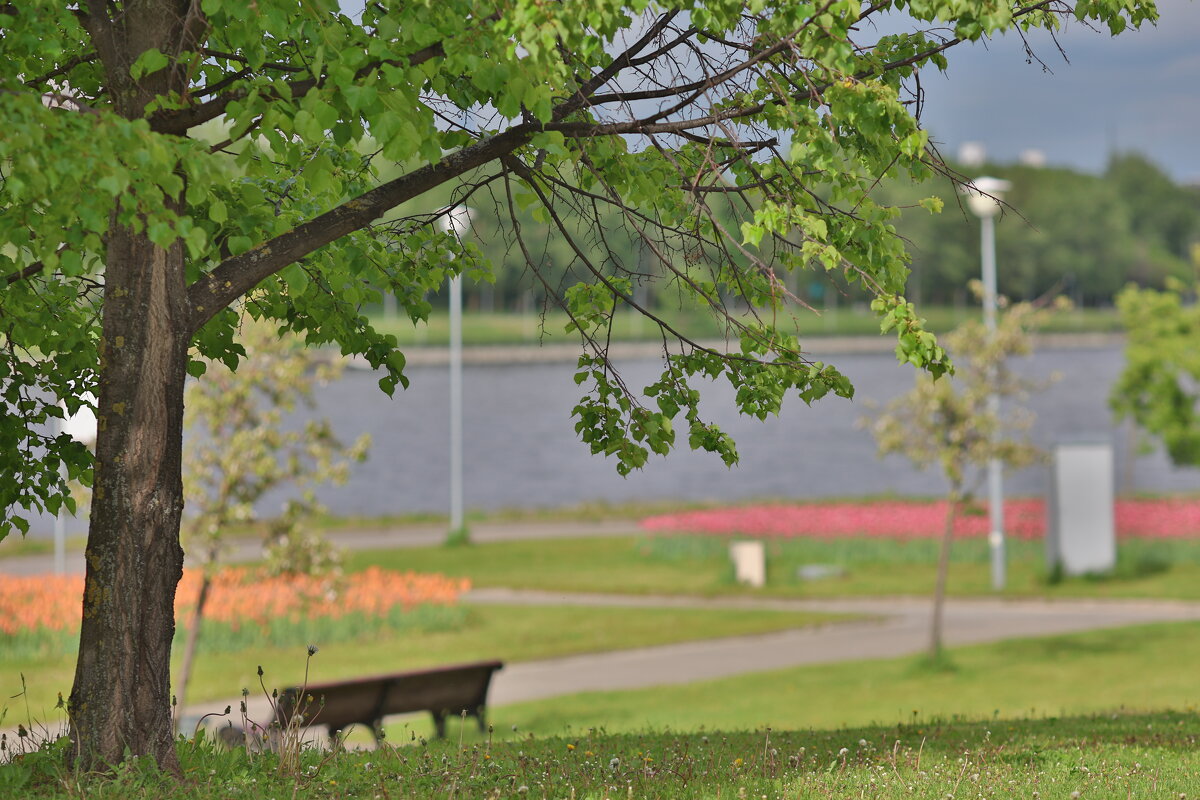 Парк - k-e-r-g-u-d-u DM