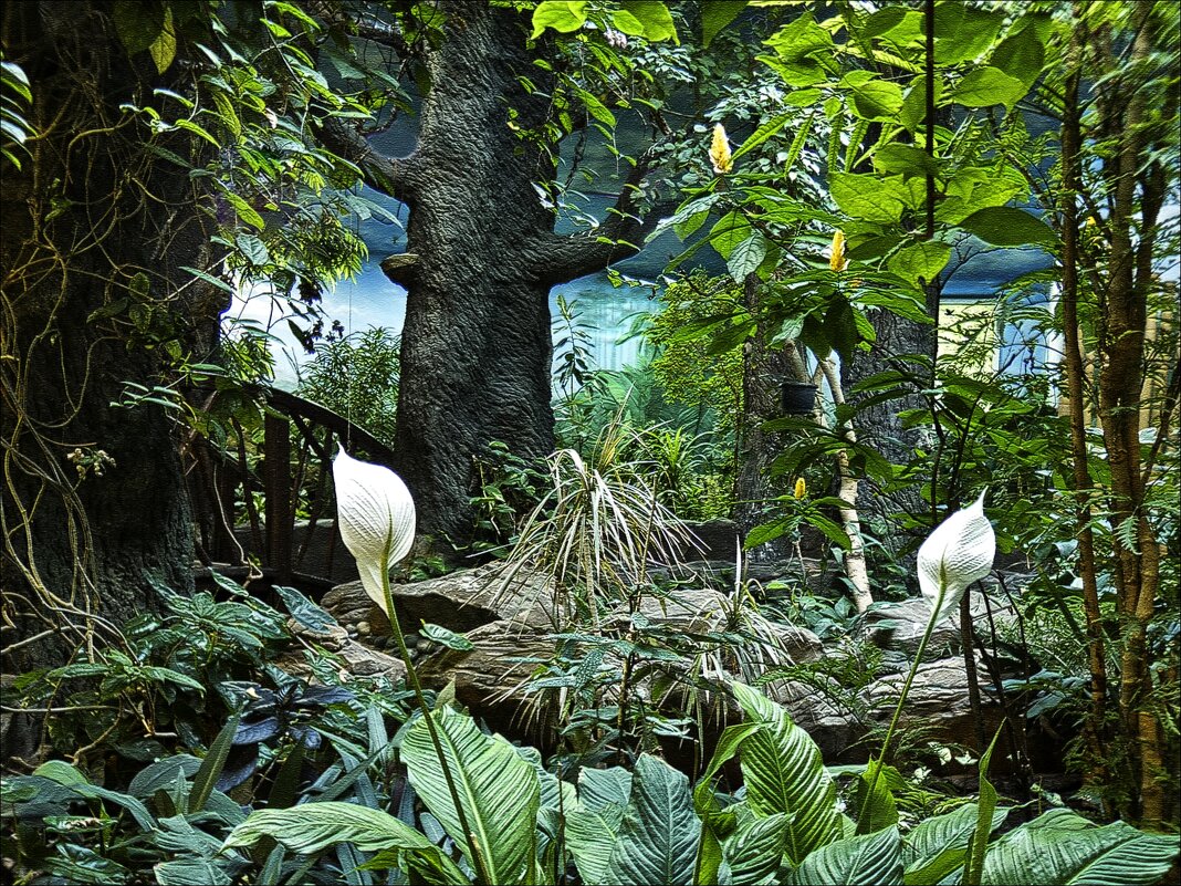 Тропики - Валентина * Тропики - Валентина *