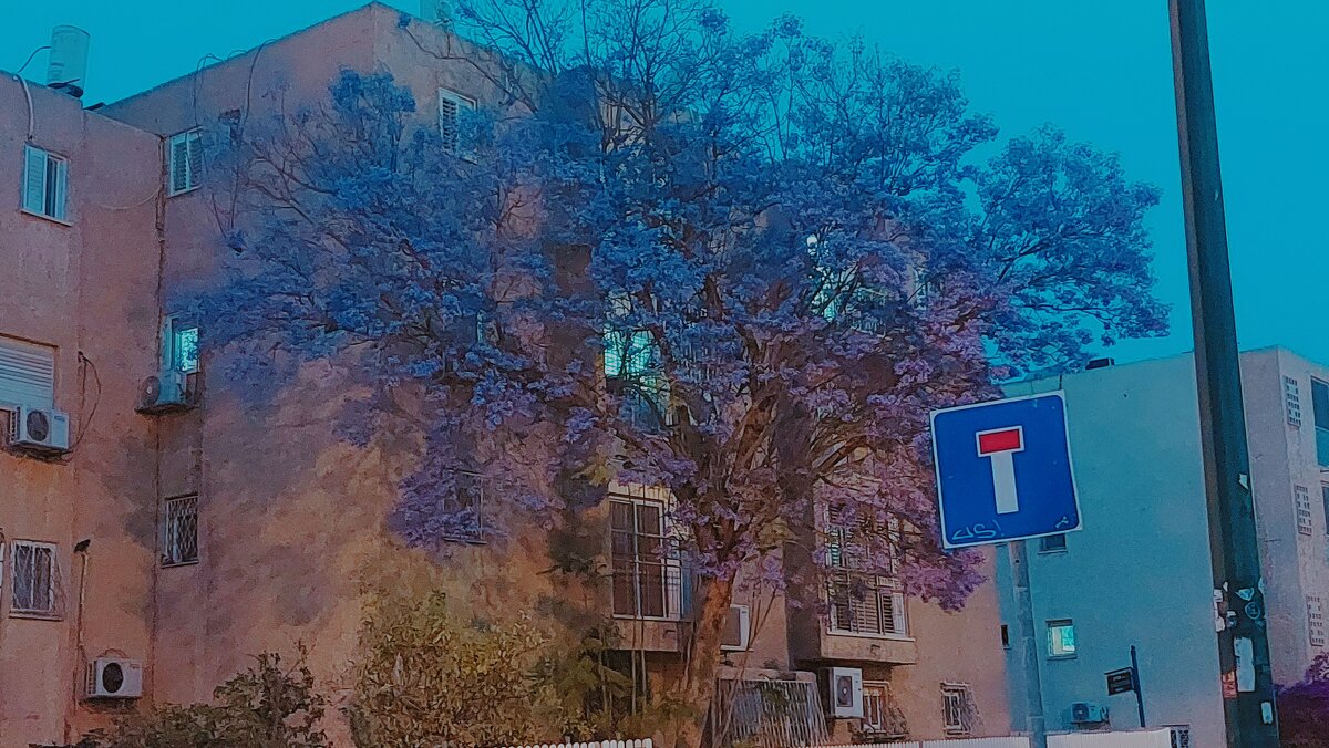 13  ОПЕН (55) - OPEN WAYS ALL