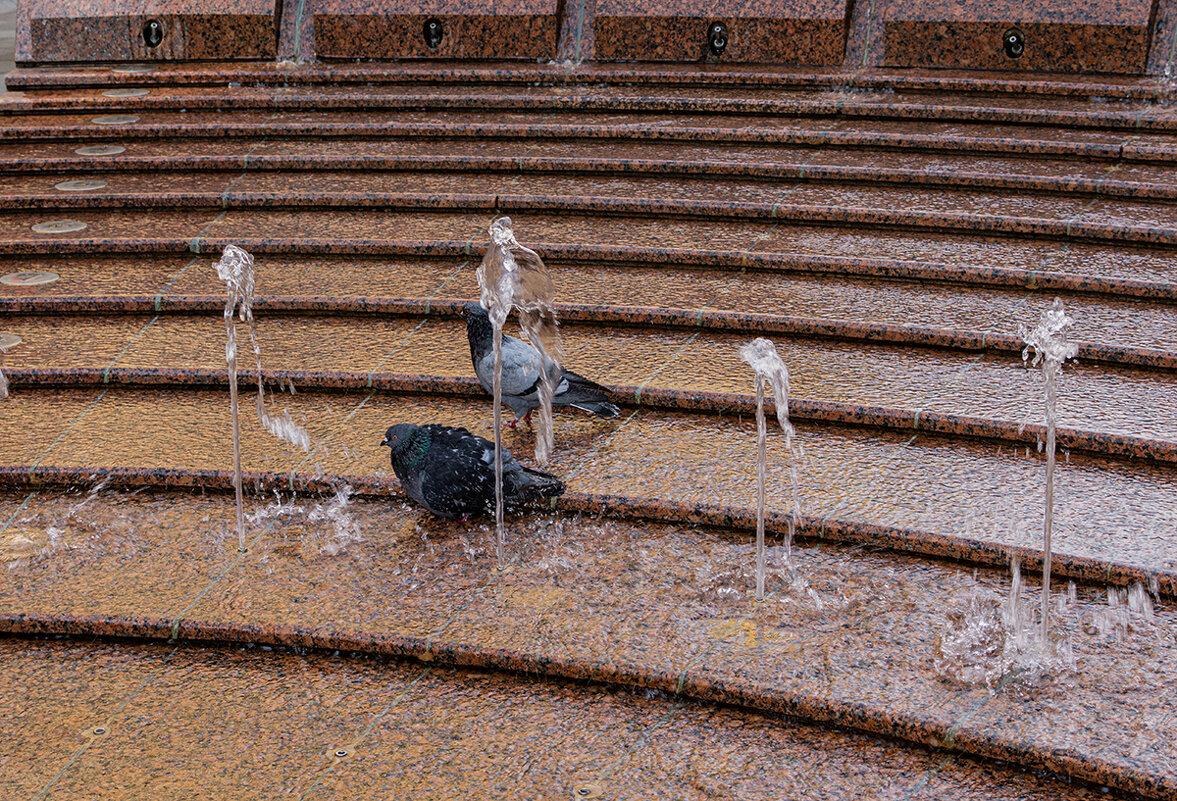 Водные процедуры - Ирина Соловьёва Водные процедуры - Ирина Соловьёва