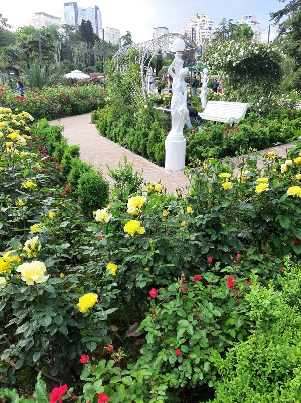 РИВЬЕРА - Tata Wolf