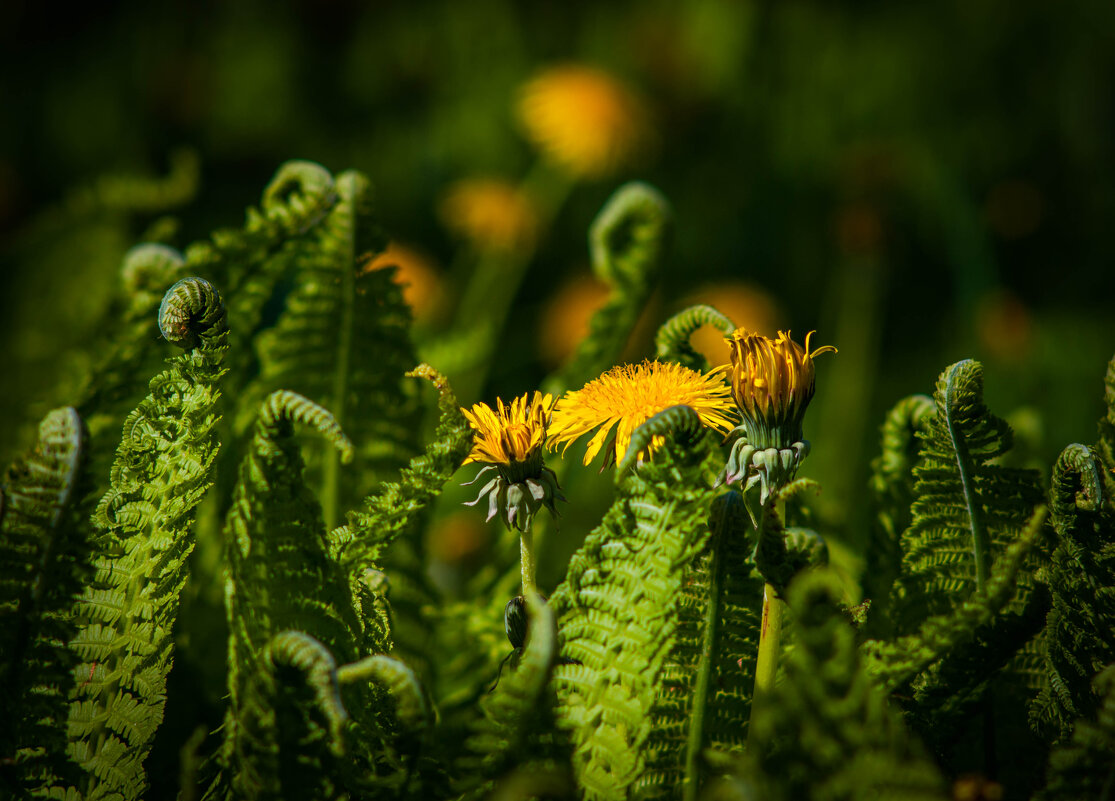 В окружении. - Анатолий Нецепляев