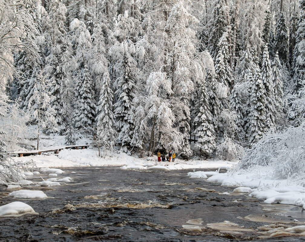 Линдуловская роща - skijumper Иванов Линдуловская роща - skijumper Иванов