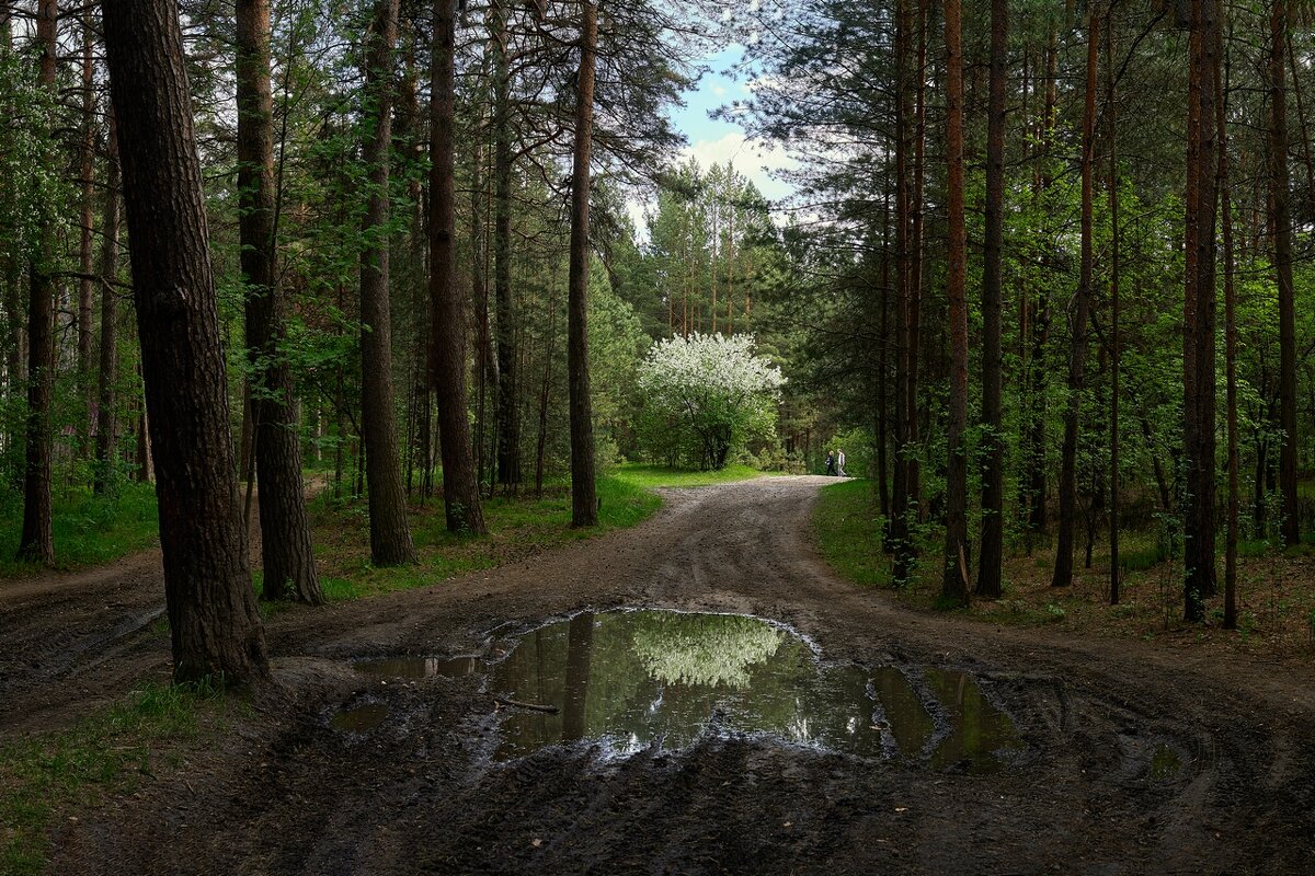 *** - Владимир *** - Владимир