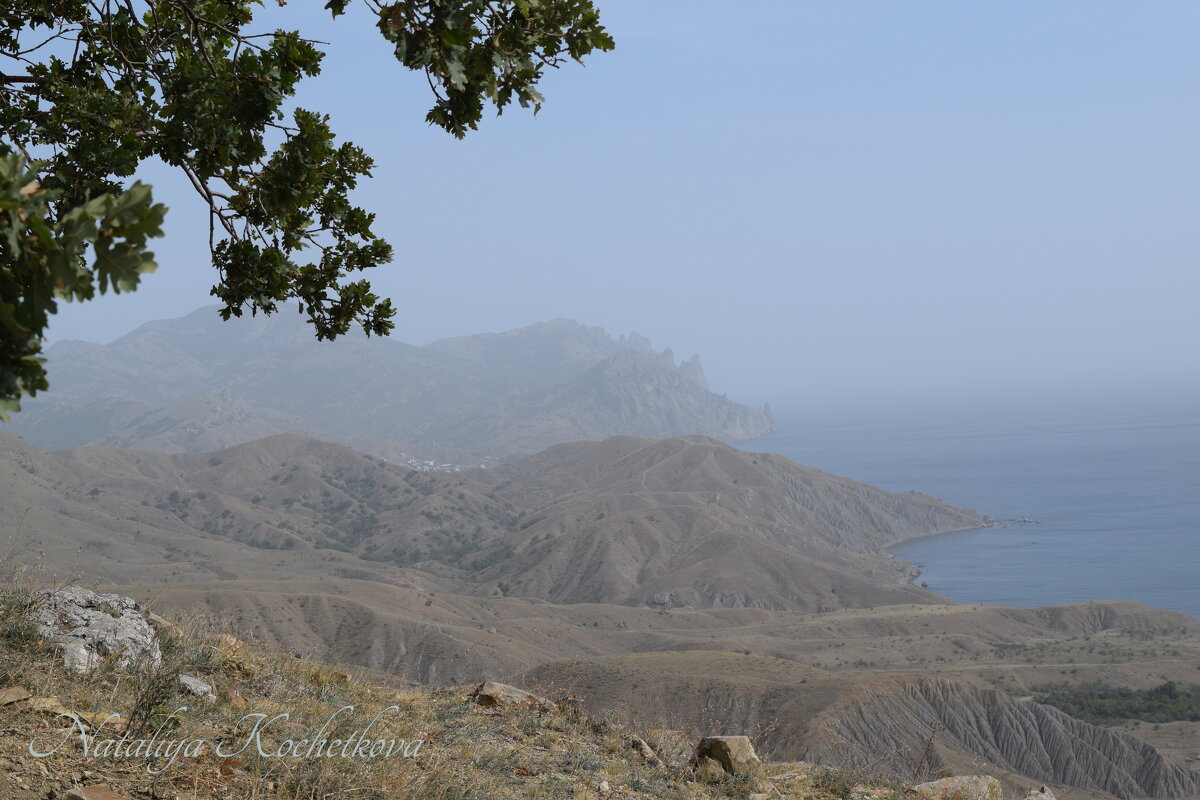 Природа Крыма - Amazing Cosmea Природа Крыма - Amazing Cosmea