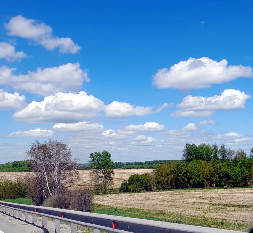 Сибирские поля . - Мила Бовкун