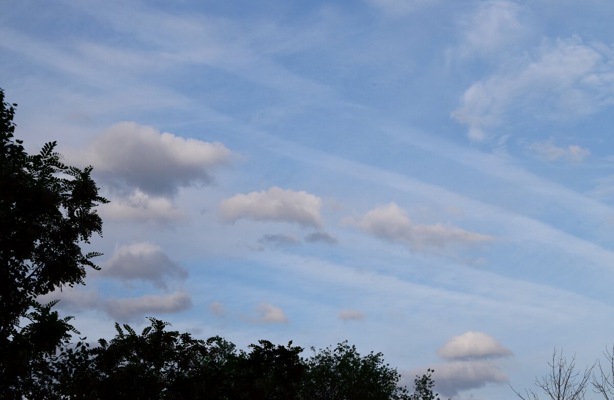 *** - Павленко Михаил *** - Павленко Михаил