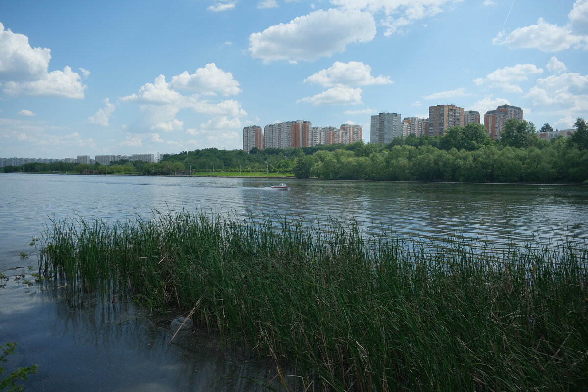 На Москве-реке. - Лютый Дровосек На Москве-реке. - Лютый Дровосек