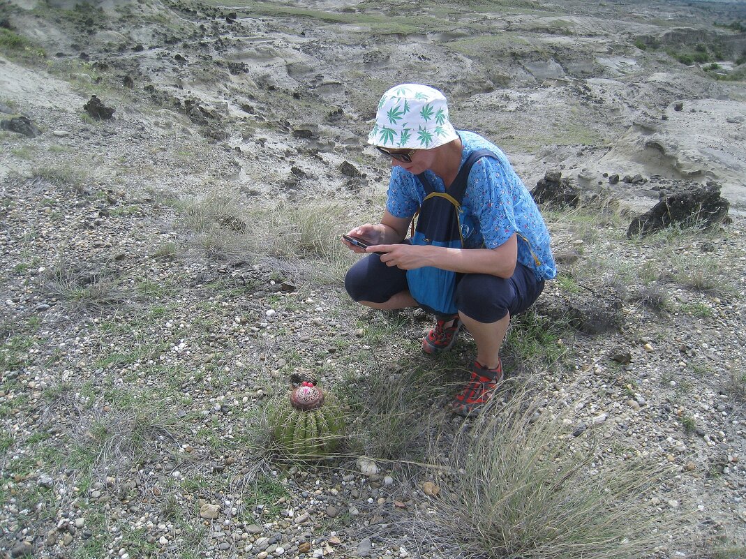 " - Так вот ты какой, цветочек аленький!" - unix (Илья Утропов) " - Так вот ты какой, цветочек аленький!" - unix (Илья Утропов)