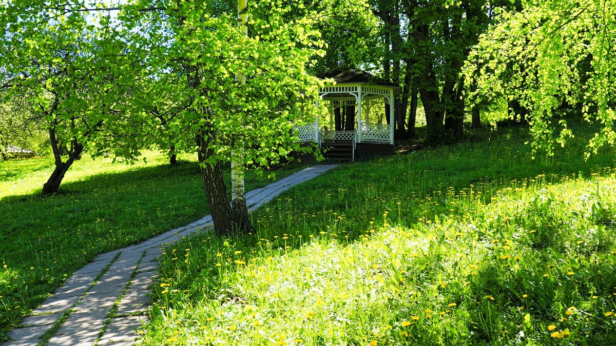 Тенистая беседка - Милешкин Владимир Алексеевич 