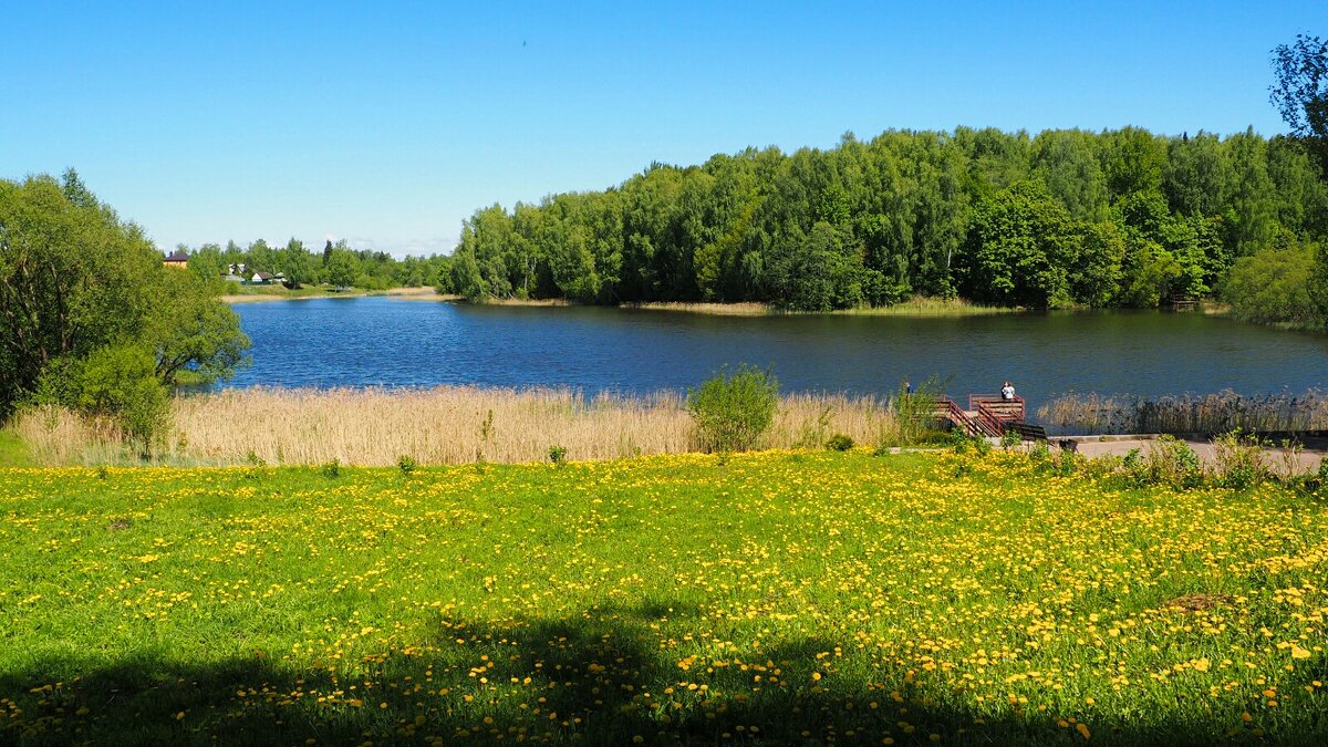 Пейзаж с мостками - Милешкин Владимир Алексеевич 