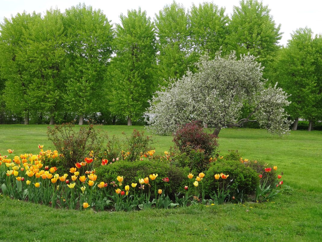 Парк Коломенское - Лидия Бусурина