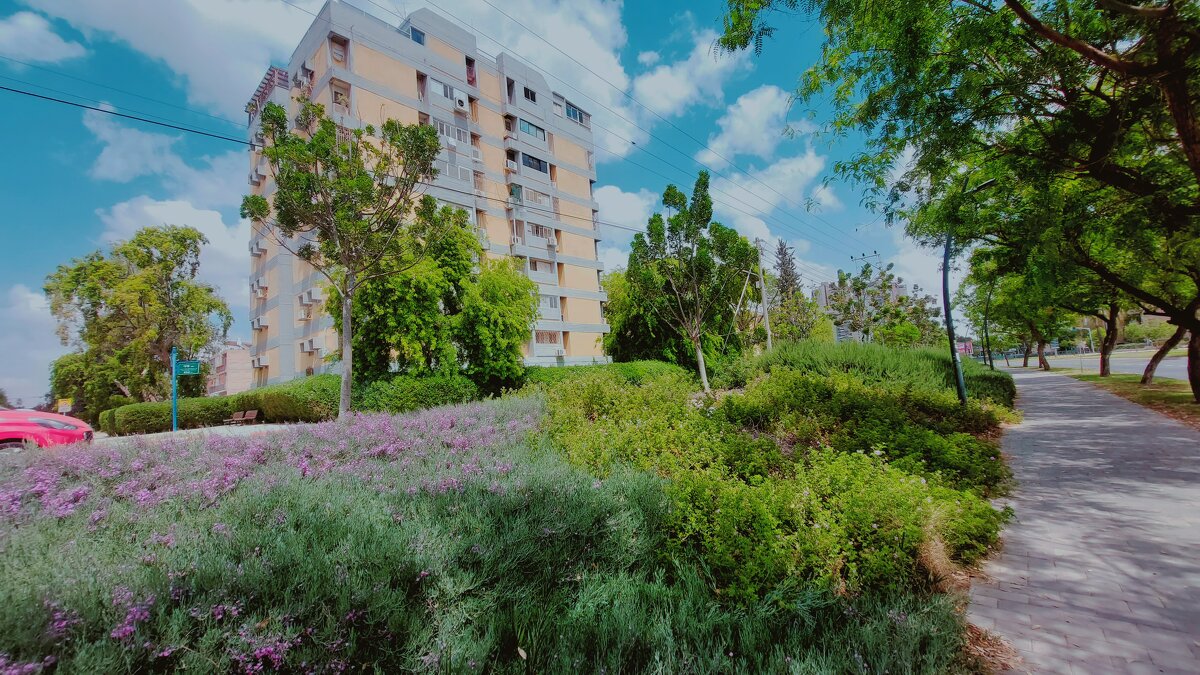 13  ОПЕН (62) - OPEN WAYS ALL