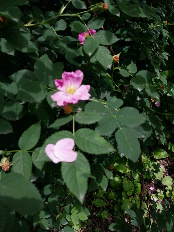 Almaty. - Murat Bukaev 