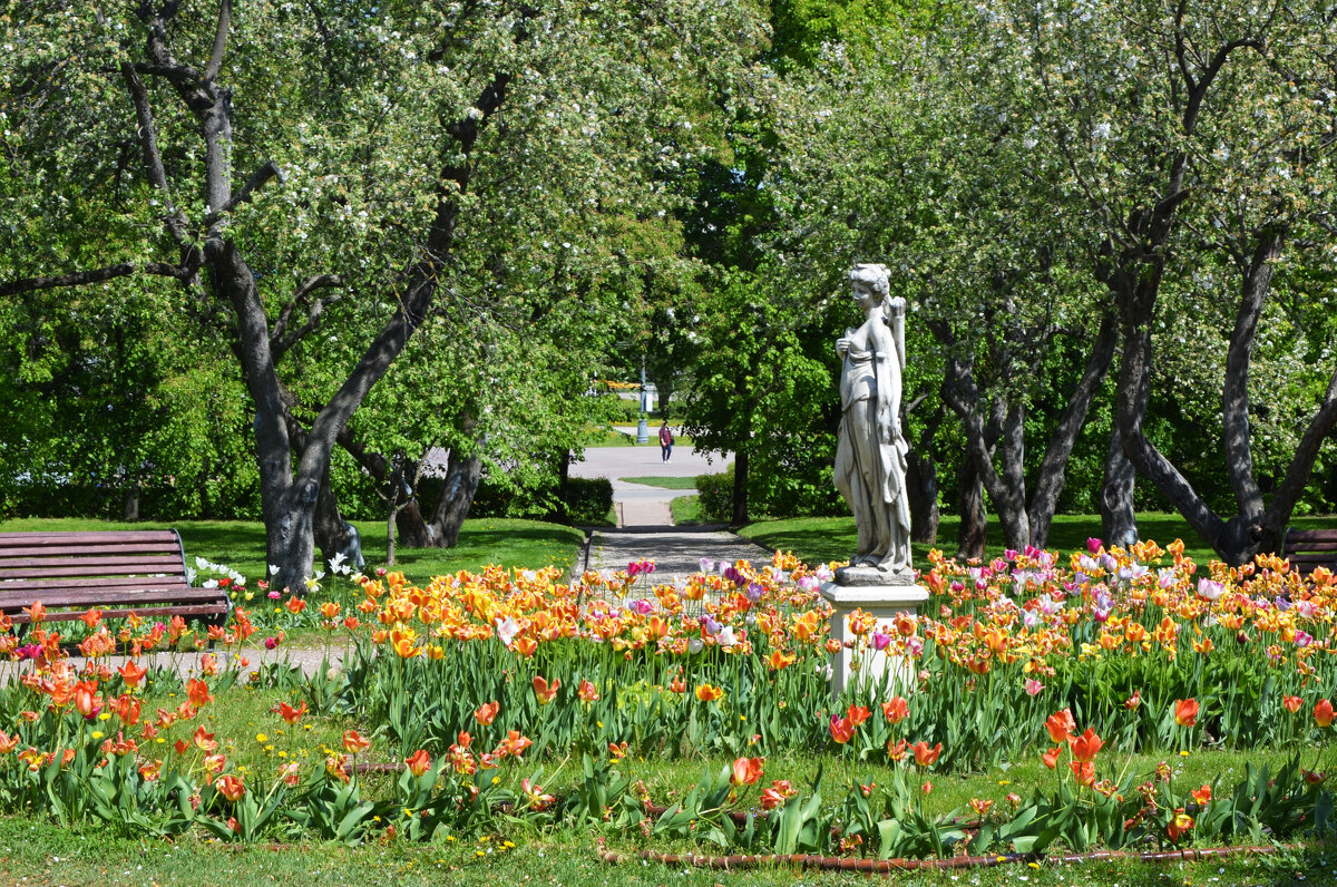 Москва. Парк Коломенское. - Наташа *****