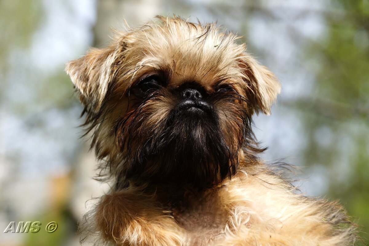 Девчонка - kolyeretka 