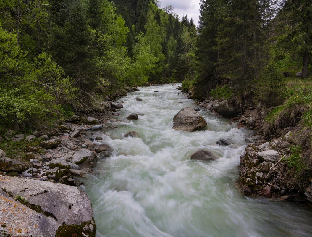 "Характер ,ой какой." р.Талгар - LudMila "Характер ,ой какой." р.Талгар - LudMila