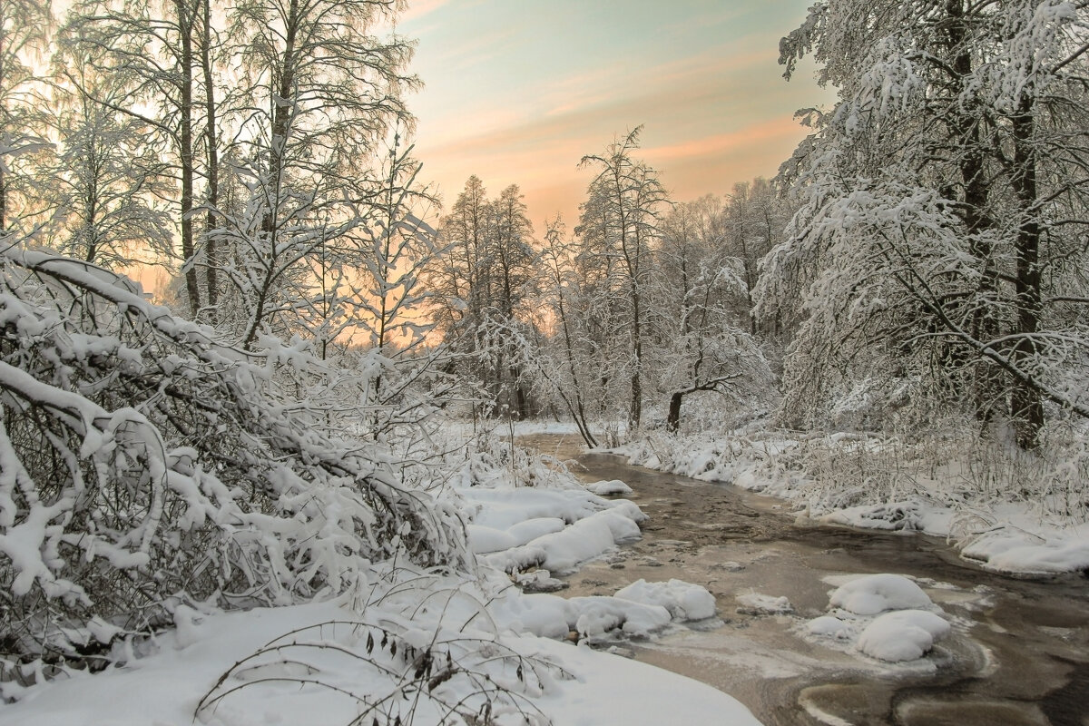Линдуловская роща - skijumper Иванов