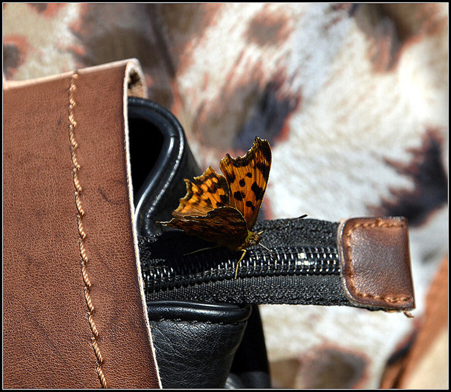 ....к взлету готова.... - Aleksandr Gal ....к взлету готова.... - Aleksandr Gal