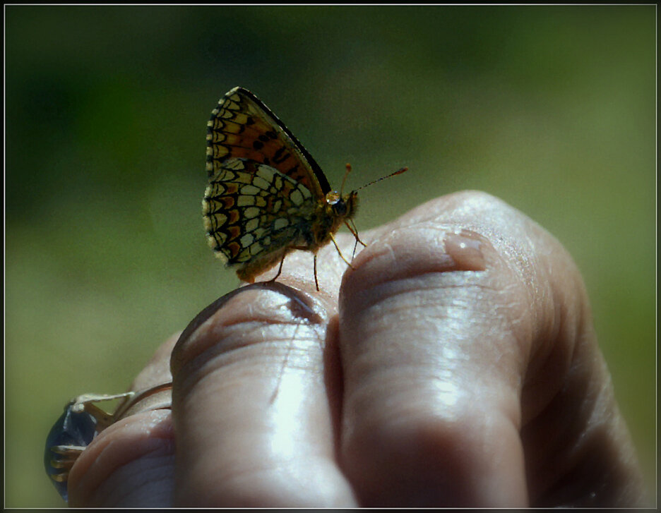 ...жажда. - Aleksandr Gal