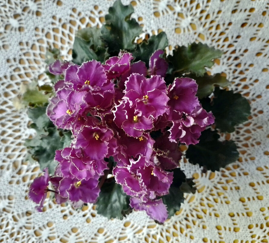 *** - Валентина Береснева *** - Валентина Береснева