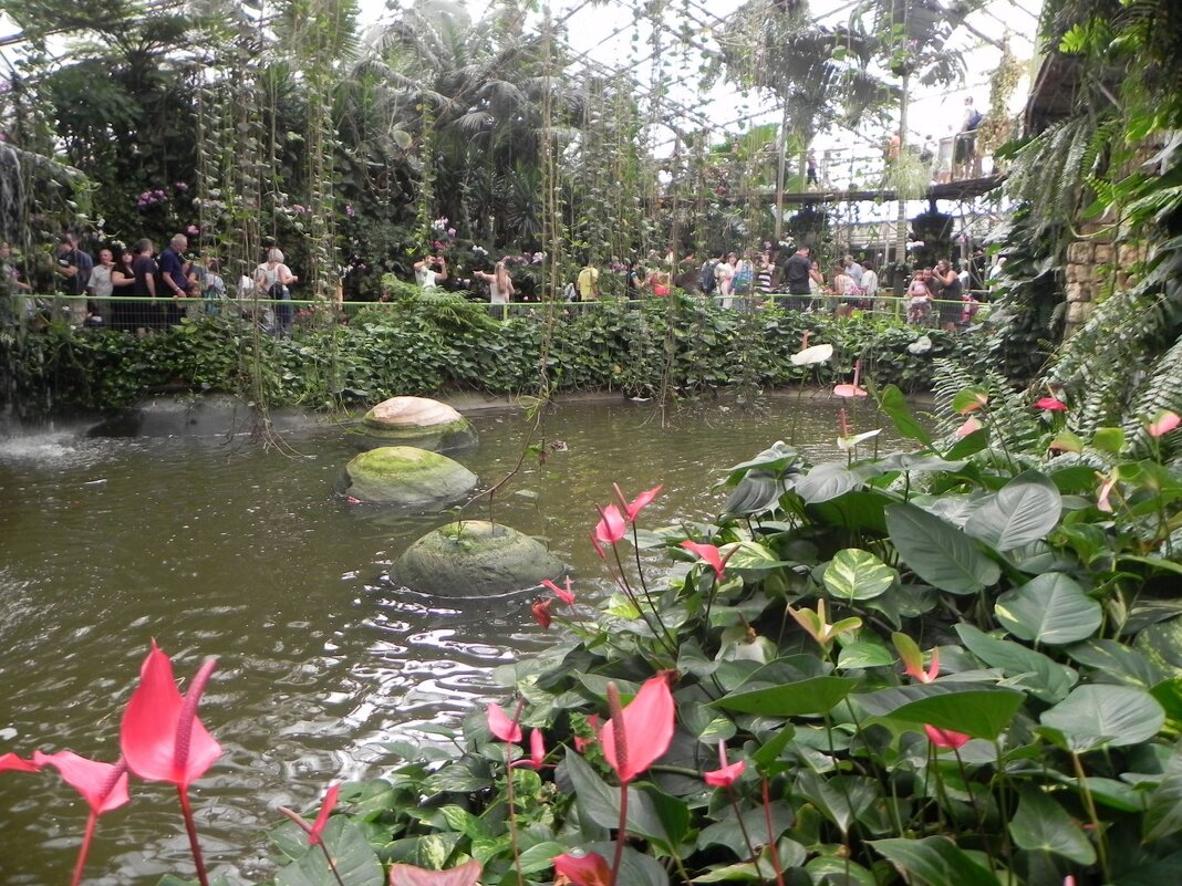 Парк «Утопия» в Израиле. - Светлана Хращевская