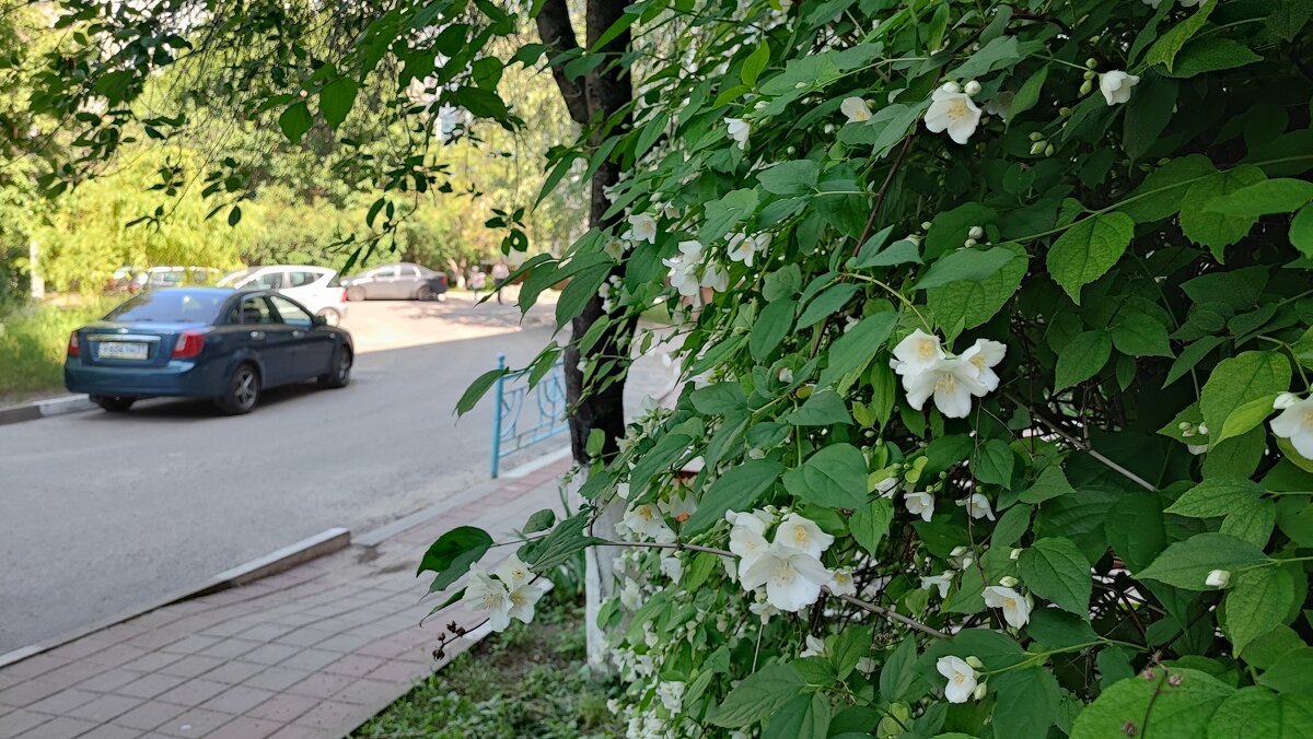 ,,, - Сергей Тимоновский