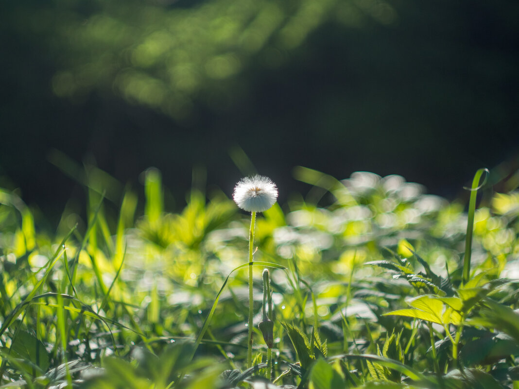 ___ - Yuriy V ___ - Yuriy V