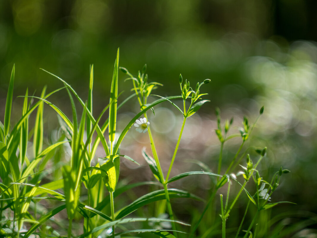 ___ - Yuriy V ___ - Yuriy V