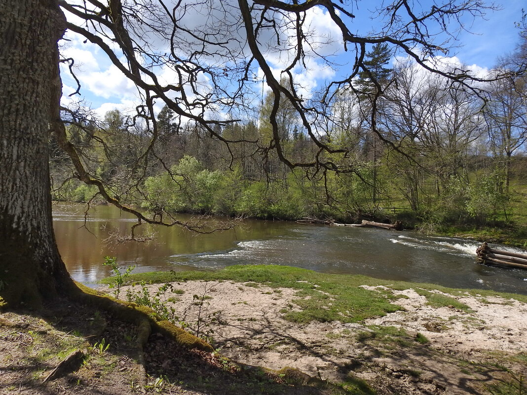 ****** - ИННА ПОРОХОВА